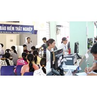 Có được hưởng trợ cấp thôi việc và trợ cấp thất nghiệp cùng lúc không?