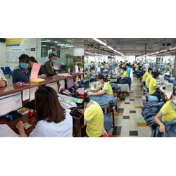 Có được hưởng bảo hiểm xã hội một lần hay không khi vẫn đi làm?