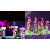 Tiêu chuẩn đạo diễn nghệ thuật hạng 2 chuyên ngành nghệ thuật biểu diễn và điện ảnh