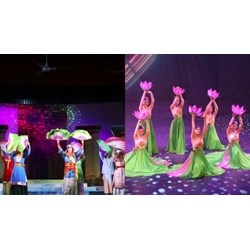 Tiêu chuẩn đạo diễn nghệ thuật hạng 2 chuyên ngành nghệ thuật biểu diễn và điện ảnh