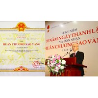 Mức thưởng Huân chương Sao vàng đối với Liên hiệp các Hội Văn học nghệ thuật Việt Nam