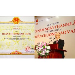 Mức thưởng Huân chương Sao vàng đối với Liên hiệp các Hội Văn học nghệ thuật Việt Nam