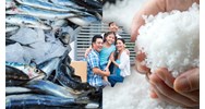 Giải thích câu Cá không ăn muối cá ươn chọn lọc hay nhất