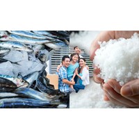Giải thích câu Cá không ăn muối cá ươn chọn lọc hay nhất