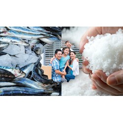 Giải thích câu Cá không ăn muối cá ươn chọn lọc hay nhất