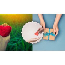Suy nghĩ của bạn về ý kiến Đừng để sự tử tế và lòng tốt cô đơn