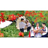 Trình bày suy nghĩ của anh chị về chủ đề "tuổi học trò trong tôi"