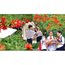 Trình bày suy nghĩ của anh chị về chủ đề "tuổi học trò trong tôi"