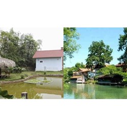 Trường hợp phải xác định lại diện tích đất ở đối với đất có vườn, ao