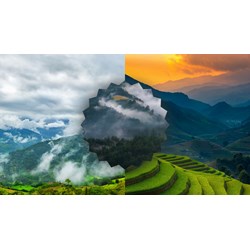 Dàn ý Phân tích bài thơ Tây Tiến của Quang Dũng chi tiết nhất