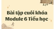 Bài tập cuối khóa Module 6 Tiểu học đầy đủ, chi tiết nhất