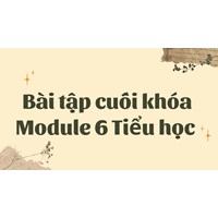 Bài tập cuối khóa Module 6 Tiểu học đầy đủ, chi tiết nhất
