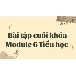 Bài tập cuối khóa Module 6 Tiểu học đầy đủ, chi tiết nhất