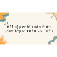 Bài tập cuối tuần môn Toán lớp 5: Tuần 25 - Đề 1 có đáp án