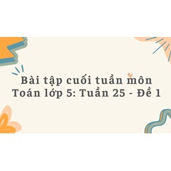 Bài tập cuối tuần môn Toán lớp 5: Tuần 25 - Đề 1 có đáp án