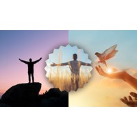 Suy nghĩ của em về giá trị của sự tự do chọn lọc hay nhất