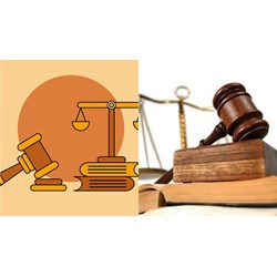 Nội dung Quyết định lập đoàn kiểm tra tình hình thi hành pháp luật