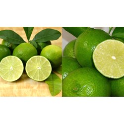 Yêu cầu về chất lượng đối với chanh quả tươi như thế nào?