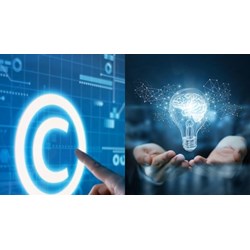 Yêu cầu giám định sở hữu công nghiệp phải lập thành hợp đồng dịch vụ?