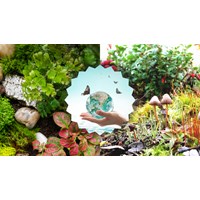 Hậu quả của việc gây mất cân bằng hệ sinh thái của con người