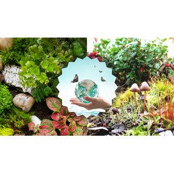 Hậu quả của việc gây mất cân bằng hệ sinh thái của con người