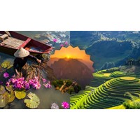 Cảm xúc suy nghĩ của em về vùng quê trù phú nơi em đang sống