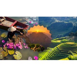 Cảm xúc suy nghĩ của em về vùng quê trù phú nơi em đang sống