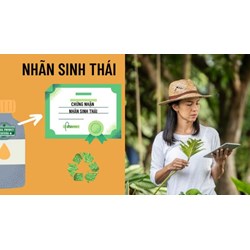 Tổ chức nào quan trắc sản phẩm với tiêu chí Nhãn sinh thái Việt Nam?