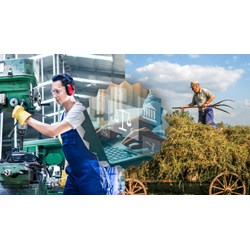 Con tôi là con người, mà đã là con người thì phải tự kiếm sống