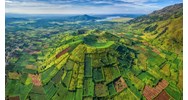 Thuyết minh về rừng ở Tây Nguyên chọn lọc hay nhất