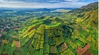 Thuyết minh về rừng ở Tây Nguyên chọn lọc hay nhất