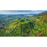 Thuyết minh về rừng ở Tây Nguyên chọn lọc hay nhất
