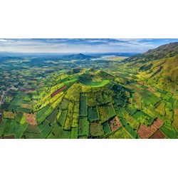 Thuyết minh về rừng ở Tây Nguyên chọn lọc hay nhất