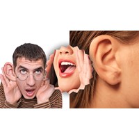 Chúng ta có hai tai và một miệng để nghe nhiều hơn và nói ít hơn