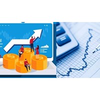 Kết quả hoạt động của tổ chức tương hỗ cung cấp bảo hiểm vi mô