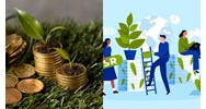 Cung ứng dịch vụ hệ sinh thái tự nhiên được sử dụng số tiền thu được?