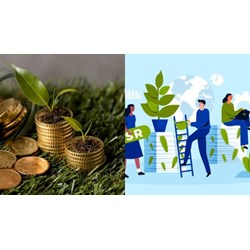 Cung ứng dịch vụ hệ sinh thái tự nhiên được sử dụng số tiền thu được?