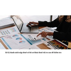 Xử lý danh sách nộp thuế có hồ sơ khai thuế rủi ro cao để kiểm tra