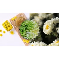 Suy nghĩ về câu thơ: Cây cúc đắng quên lòng mình đang đắng ...
