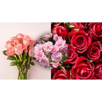 Biểu cảm về loài hoa hồng siêu hay, đạt điểm cao - Văn mẫu lớp 7