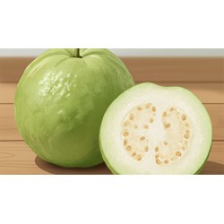 Tả quả ổi siêu hay, đạt điểm cao - Tập làm văn lướp 5