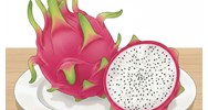 Tả quả thanh long chọn lọc hay nhất - Văn mẫu lớp 5