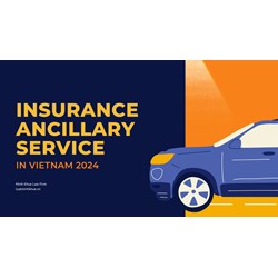 Insurance Ancillary Services in Vietnam: How To Build A Company