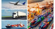 Những ai được cấp Giấy phép nhập khẩu theo hạn ngạch thuế quan?