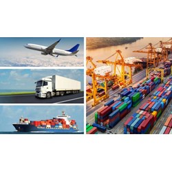 Những ai được cấp Giấy phép nhập khẩu theo hạn ngạch thuế quan?