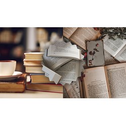 Cảm nghĩ về sách vở mình đọc hằng ngày chọn lọc hay nhất