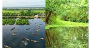 Thống kê, kiểm kê đất ngập nước đối với nhóm 1 thực hiện thế nào?