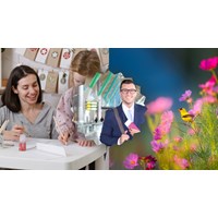 Thư gửi chú đang công tác ở nước ngoài nhân dịp đầu xuân hay nhất