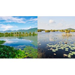 Tần suất rà soát, cập nhật danh mục vùng đất ngập nước quan trọng