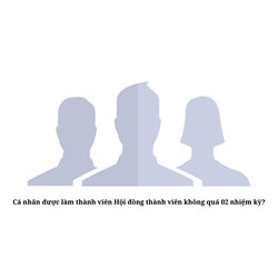 Cá nhân được làm thành viên Hội đồng thành viên không quá 02 nhiệm kỳ?
